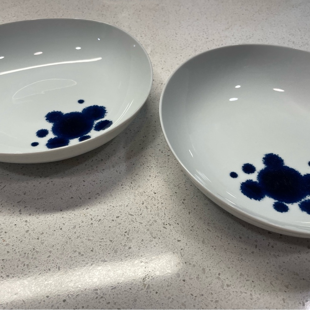 2 Paola Navone Como Splash (Crate & Barrel) Deep Plates